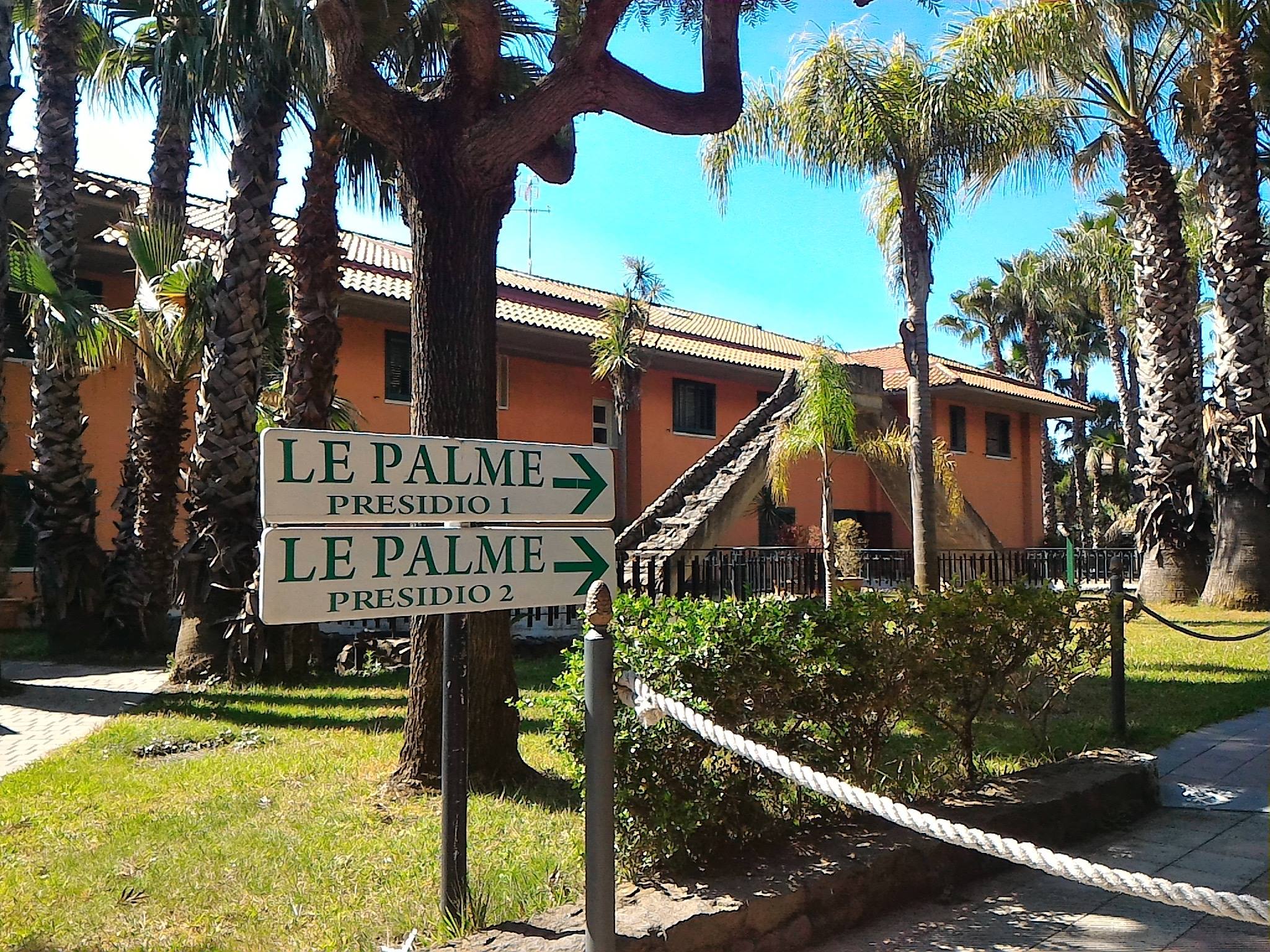 Le palme